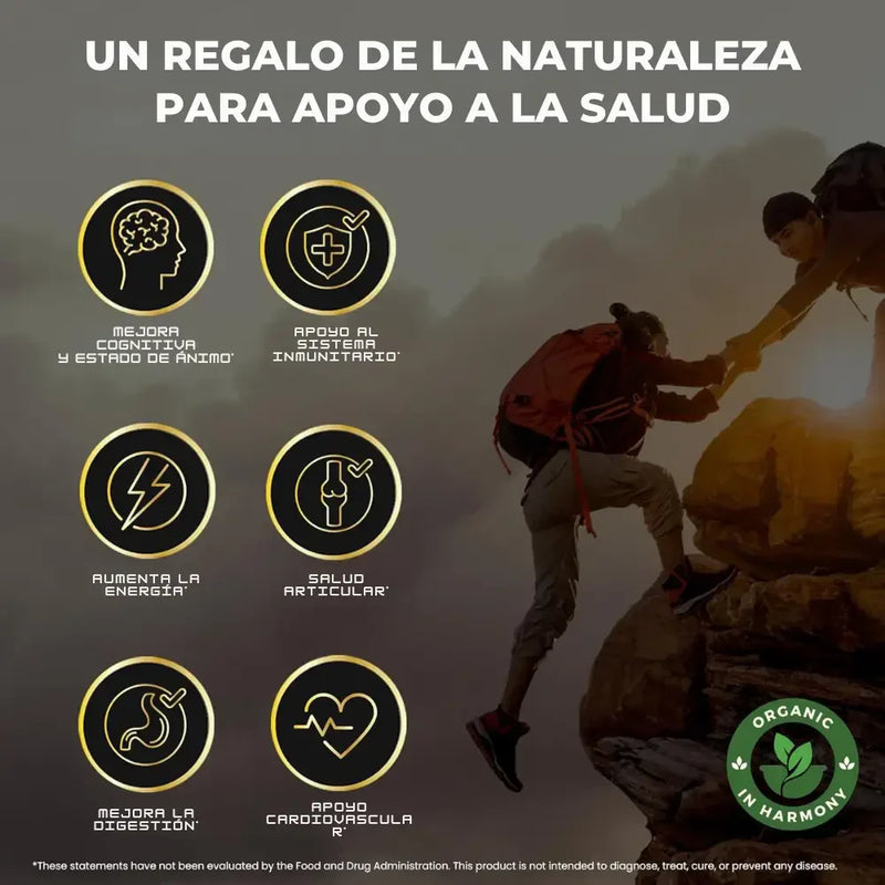 Gomitas Shilajit-PREMIUM